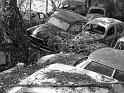 Autofriedhof - 130